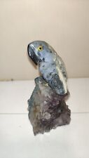 Pappagallo scolpito su pietra  con base di drusa di ametista 