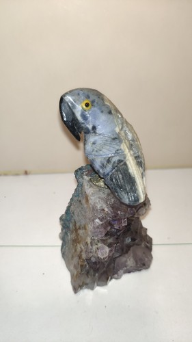 Pappagallo scolpito pietra - scolpito, su