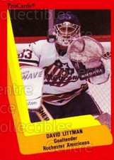 1990 procards ahl ihl 269 - 1990-91,