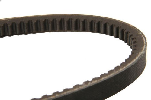Cinghia trapezoidale dayco - cinghia,