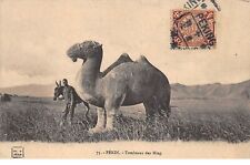 Cina - N°66026 - Pechino -