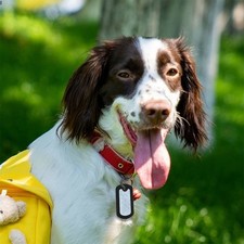  14 pezzi Manicotti per