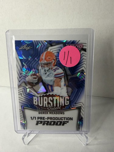 Derek meadows ghiaccio - derek, 1/1