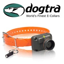 Dogtra STB Beeper Collare HAWK
