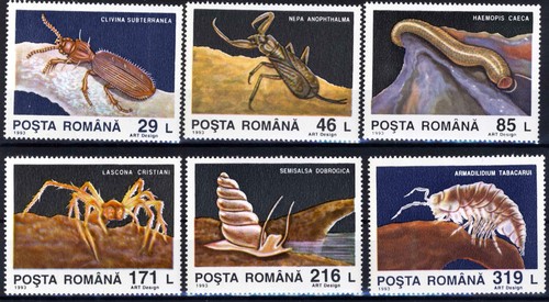 Romania 1993 vita sotterranea - 1993,