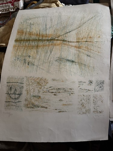 Litografia antonio corpora - litografia,