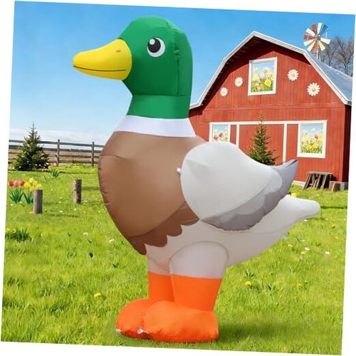Gonfiabili piedi mallard - piedi,