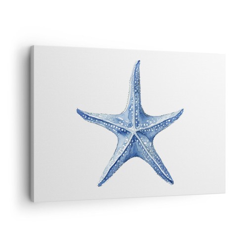 Quadro tela 70x50cm stella - tela,