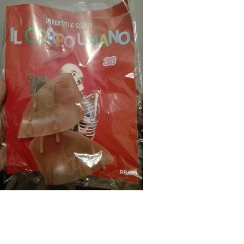 Corpo umano fascicolo 38 - n.,