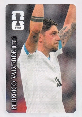 Panini sticker calcio mondiali - panini,