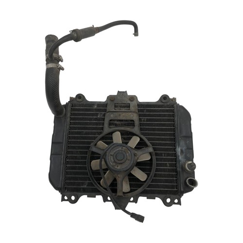 Ventola radiatore acqua
