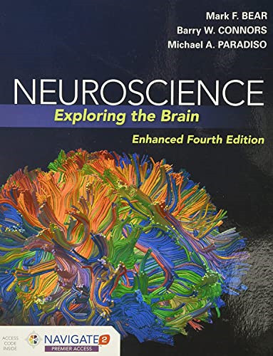 Neuroscience exploring the - neuroscience:,