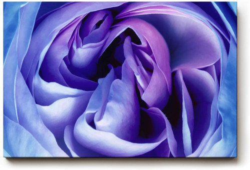 Quadro sinus art - sinus, struttura