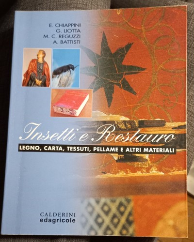 Insetti restauro legno - insetti,