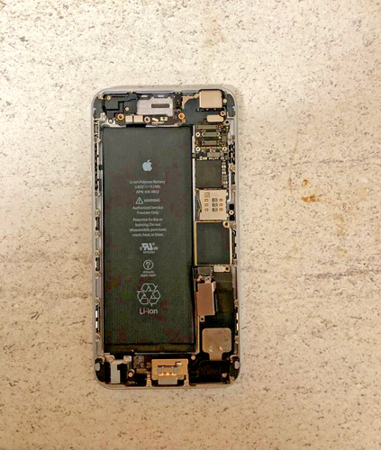 Custodia posteriore apple - posteriore,
