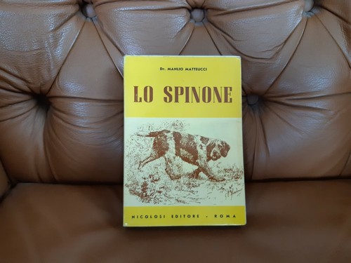 Spinone manlio matteucci - spinone,,