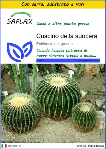Saflax kit coltivazione - kit,