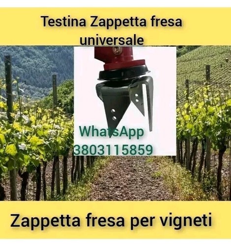 Testina zappetta fresa - zappetta,