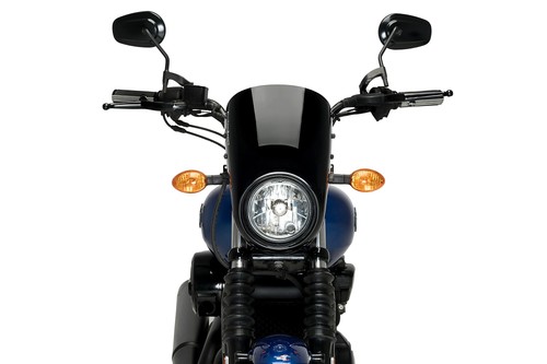 Puig anarchy per harley - per,