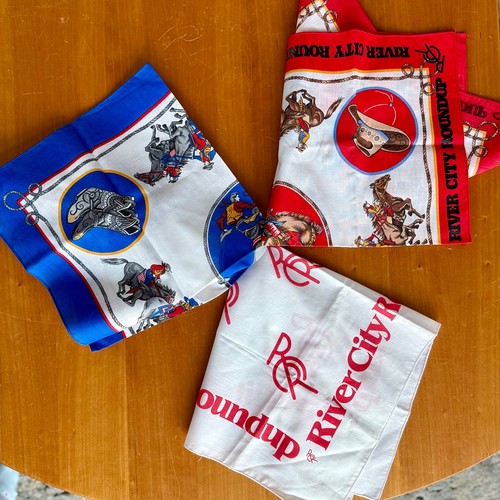Set bandana fazzoletto - 3,