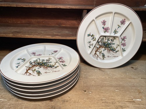 Assiettes hors œuvre - assiettes,