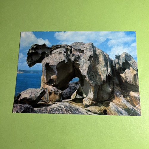 Palau capo orso viaggiata - d'orso,