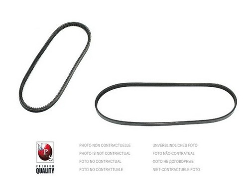 Cinghia poly per - poly-v, alfa