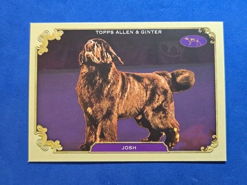 2024 josh topps - &, ginter