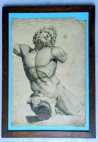 Laocoonte studio accademico