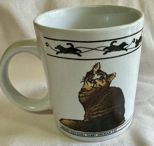 Tazza siberiana abyssiniah - siberiana,