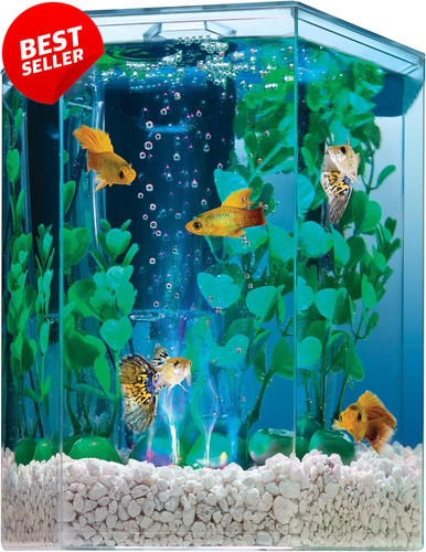 Kit acquario led gallone - kit,