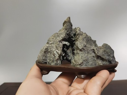 110987 bonsai suiseki - #110987.bonsai, di