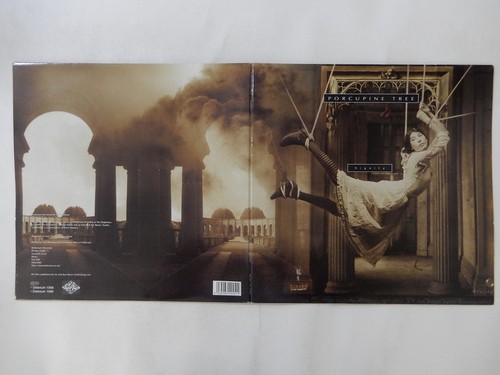 Porcupine tree signify - porcupine,