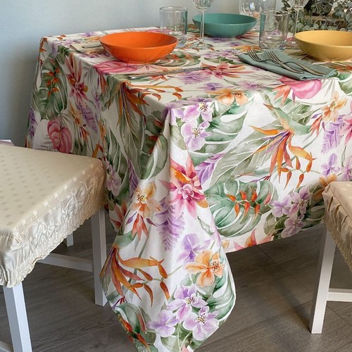 Monstera tovaglia con - monstera,