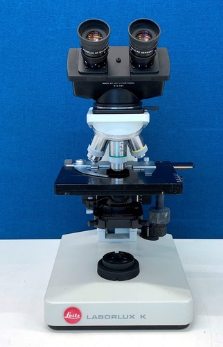 Microscopio binoculare leitz - microscopio,