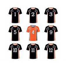 Haikyuu!! Karasuno Shyou