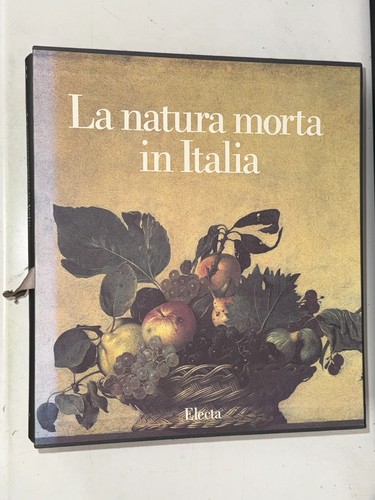 Natura morta italia - natura, in