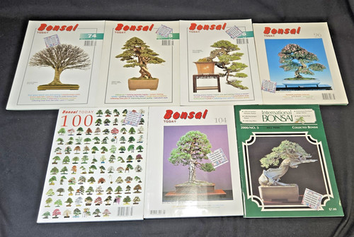 Lot bonsai - lot,