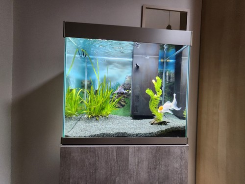 Ciano aquarium emotions pro - aquarium,