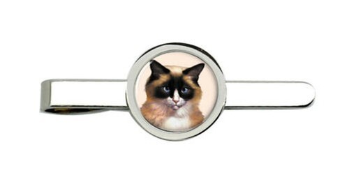 Gatto ragdoll fermacravatta - gatto,
