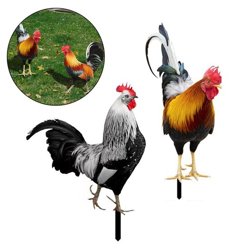Decorazioni pollo spazio - pollo,