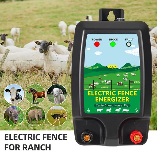 Dc12v 10km ranch recinzione - dc12v,