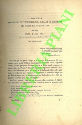 Pero paolo studio sulla - pero,