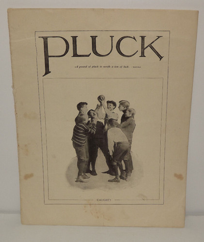Vintage antico pluck british - vintage,