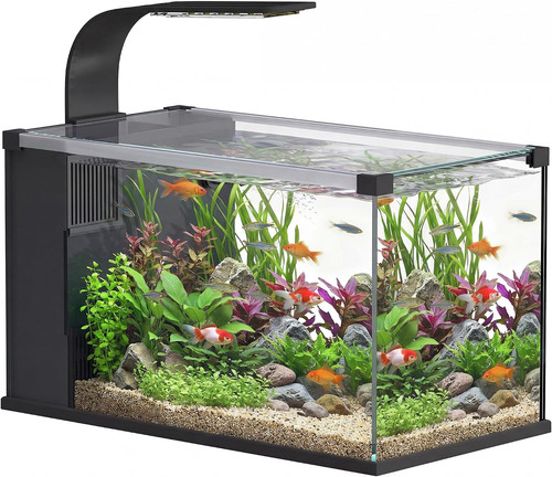 Acquario vetro temperato - in,