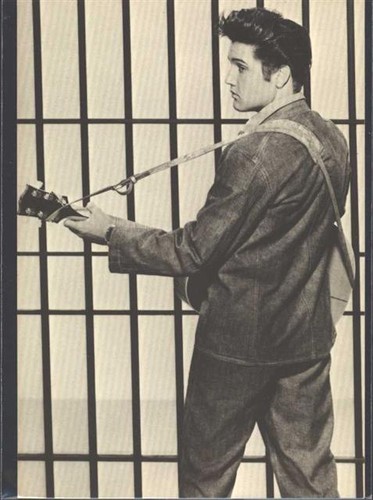 13806699 elvis presley - elvis,