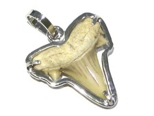 ciondolo dente di squalo