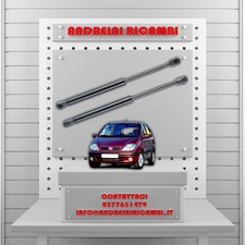 2 MOLLE A GAS BAGAGLIAIO