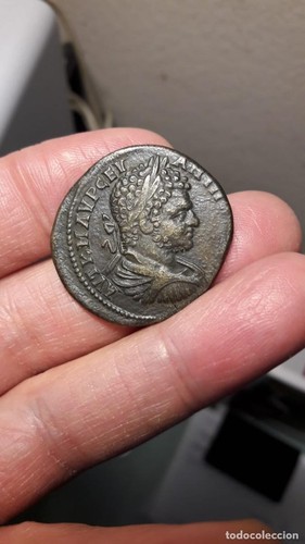 Caracalla ae30 provinciale - -,