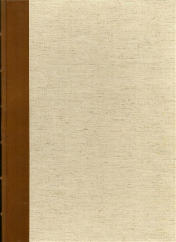 Disegni di michelangelo - ,